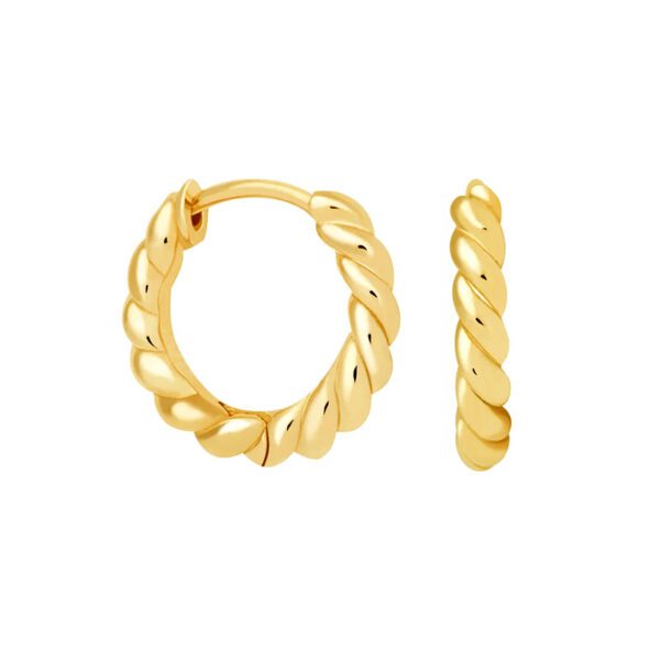 Silver Needle Twisted Twist Female Earrings Hipster