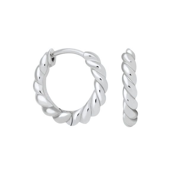 Silver Needle Twisted Twist Female Earrings Hipster